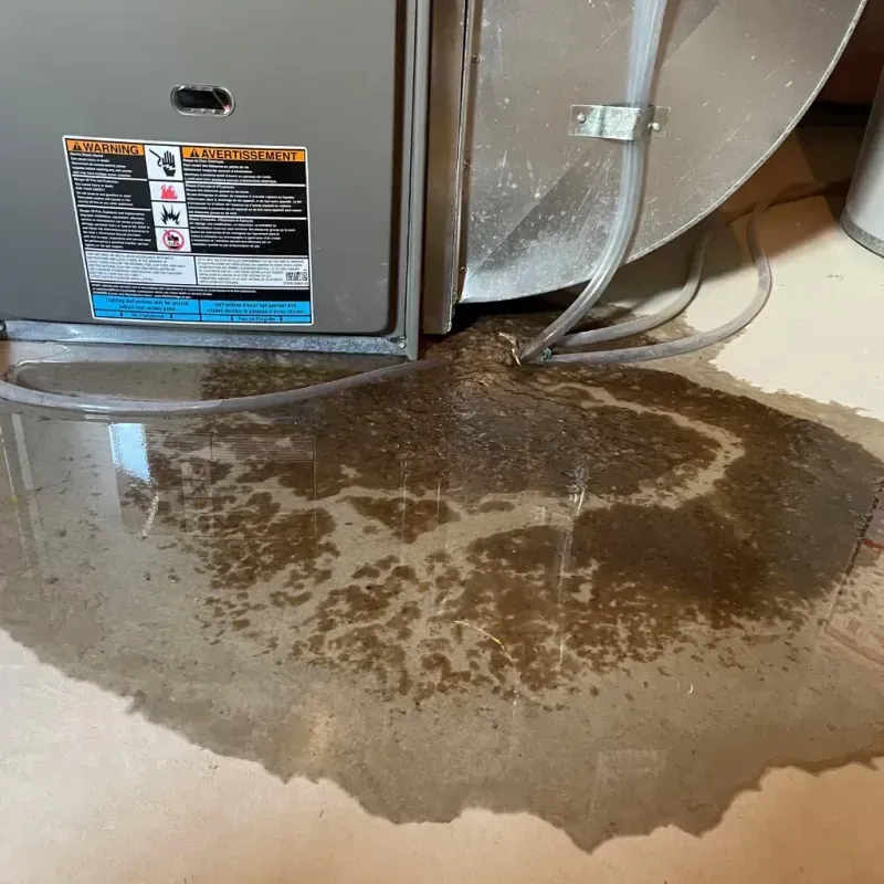 Appliance Leak Cleanup in Palestine, IL